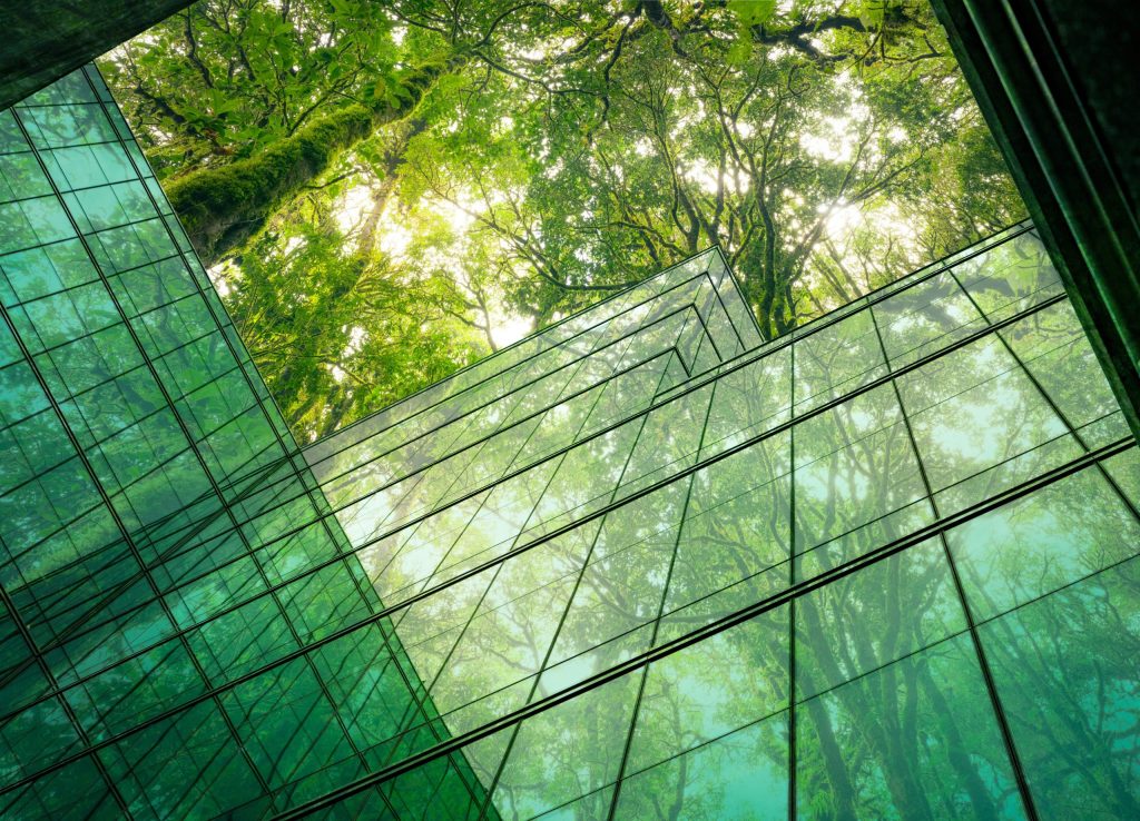 Green is the New Gold Standard: A Regional Shift Toward Sustainable Construction & Design Practices